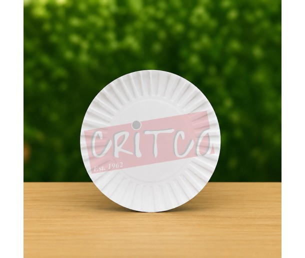 6Inch Paper Plate (Pack of 25 Pcs)