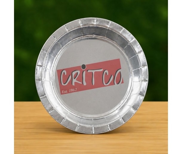 7 inch Metalic Silver Paper Plate  - Pack of 10Pcs