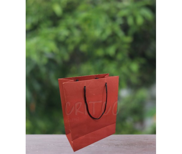 10 X 8 X 4 inch Red Bag
