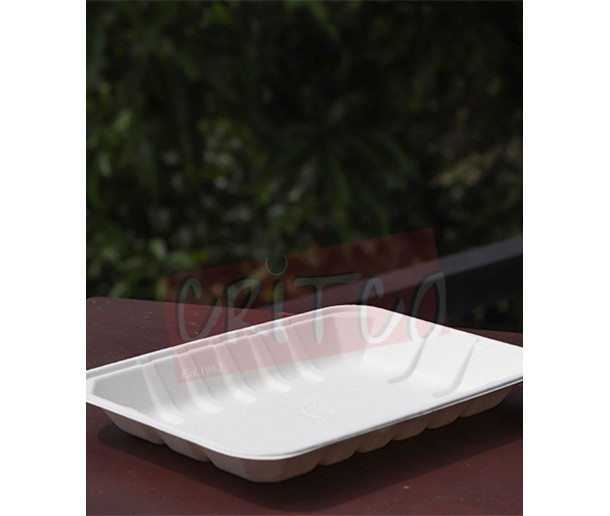(9X6) inch Bagasse Tray