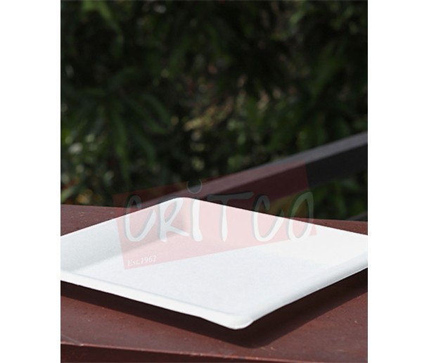 6 inch Bagasse Plate-SQ