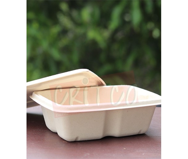 500ml Compostable Container w/Lid-Rect