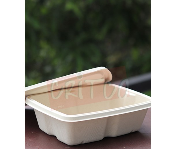 650ml Compostable Container w/Lid-Rect