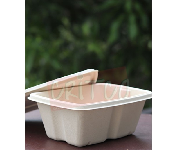 750ml Compostable Container w/Lid-Rect