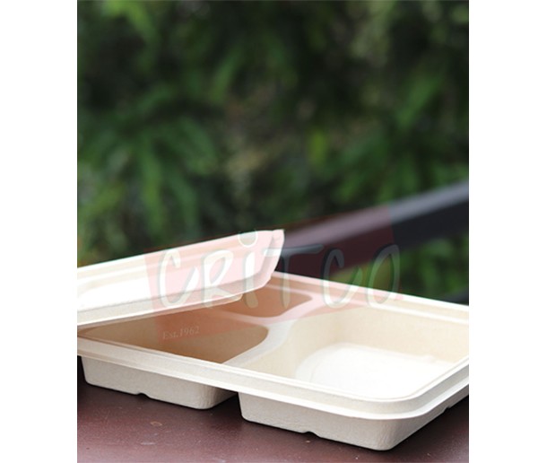 3compartment compostable Container w/Lid