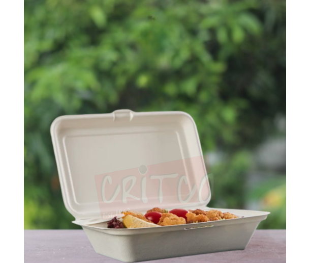 9X6 Bagasse Hinged Container-White