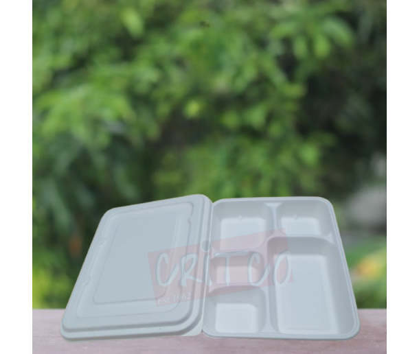 5 Compartments Bagasse Container w/lid
