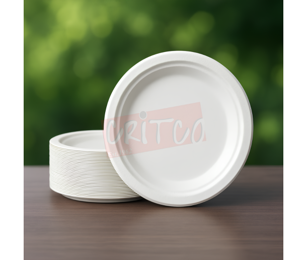 9 inch Bagasse Plate-RND