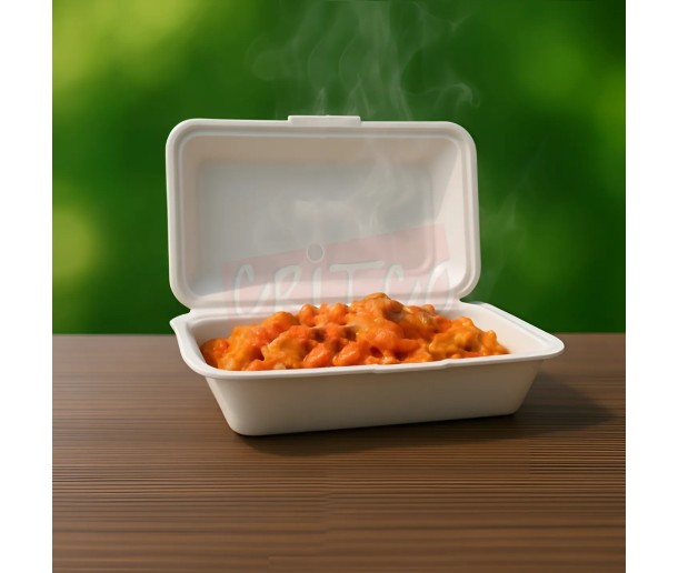 9X6 Bagasse Hinged Container-White