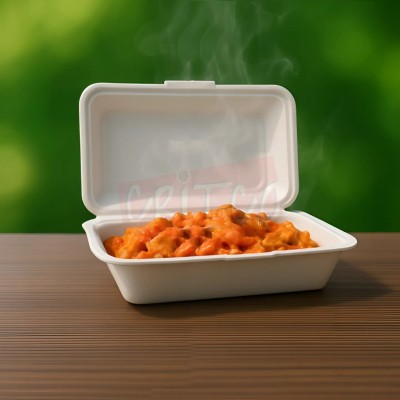 9X6 Bagasse Hinged Container-White