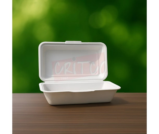 9X6 Bagasse Hinged Container-White