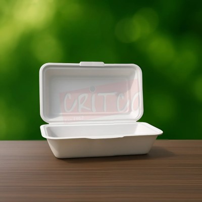 9X6 Bagasse Hinged Container-White