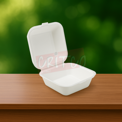6X6X3.5 inch Bagasse Burger Box-White