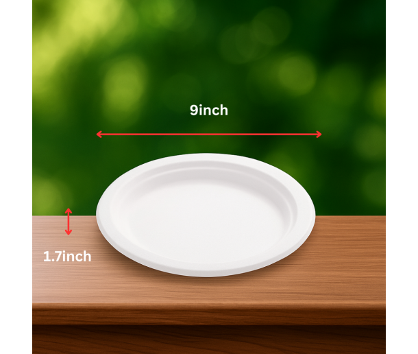9 inch Bagasse Plate-RND