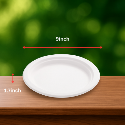 9 inch Bagasse Plate-RND
