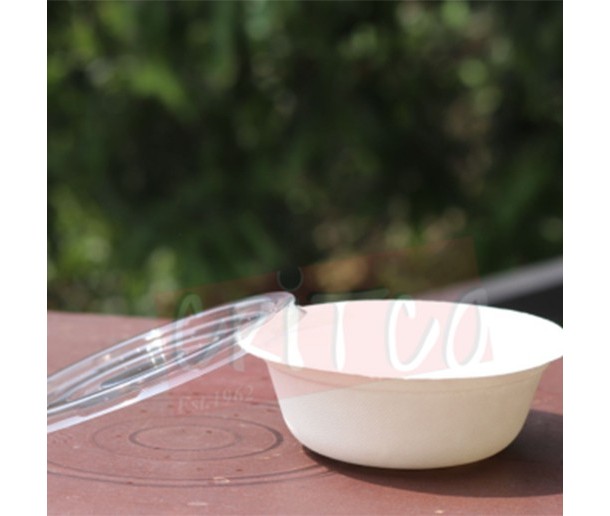 12oz Bagasse Bowl with lid