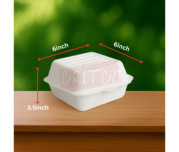 6X6X3.5 inch Bagasse Burger Box-White