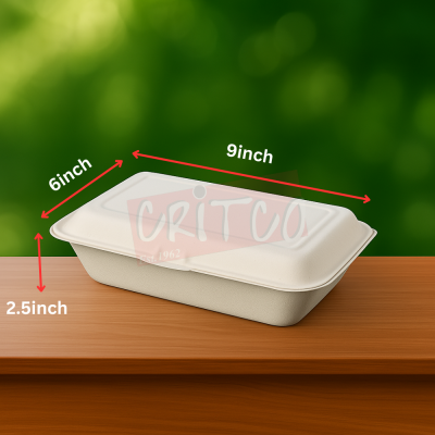 9X6 Bagasse Hinged Container-White