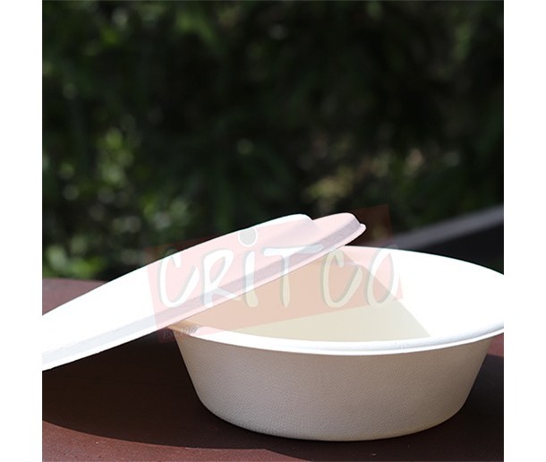 1200ml Bagasse Bowl with lid