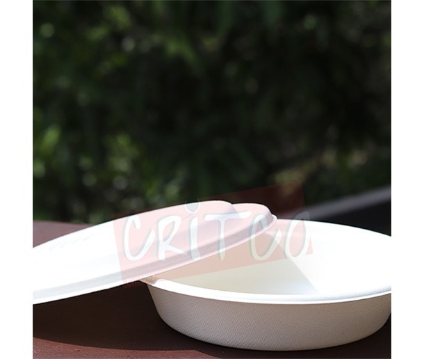 900ml Bagasse Bowl with lid