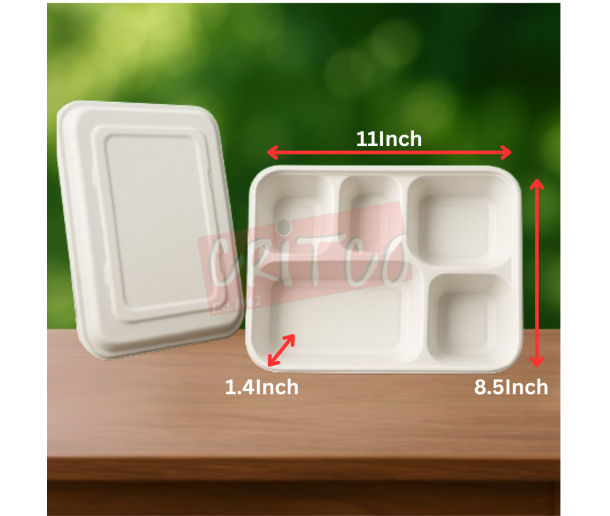 5 Compartments Bagasse Container w/lid