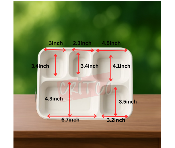 5 Compartments Bagasse Container w/lid