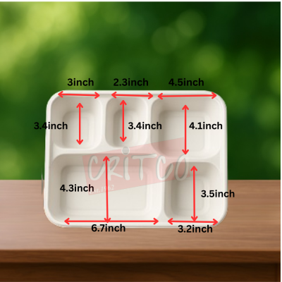 5 Compartments Bagasse Container w/lid
